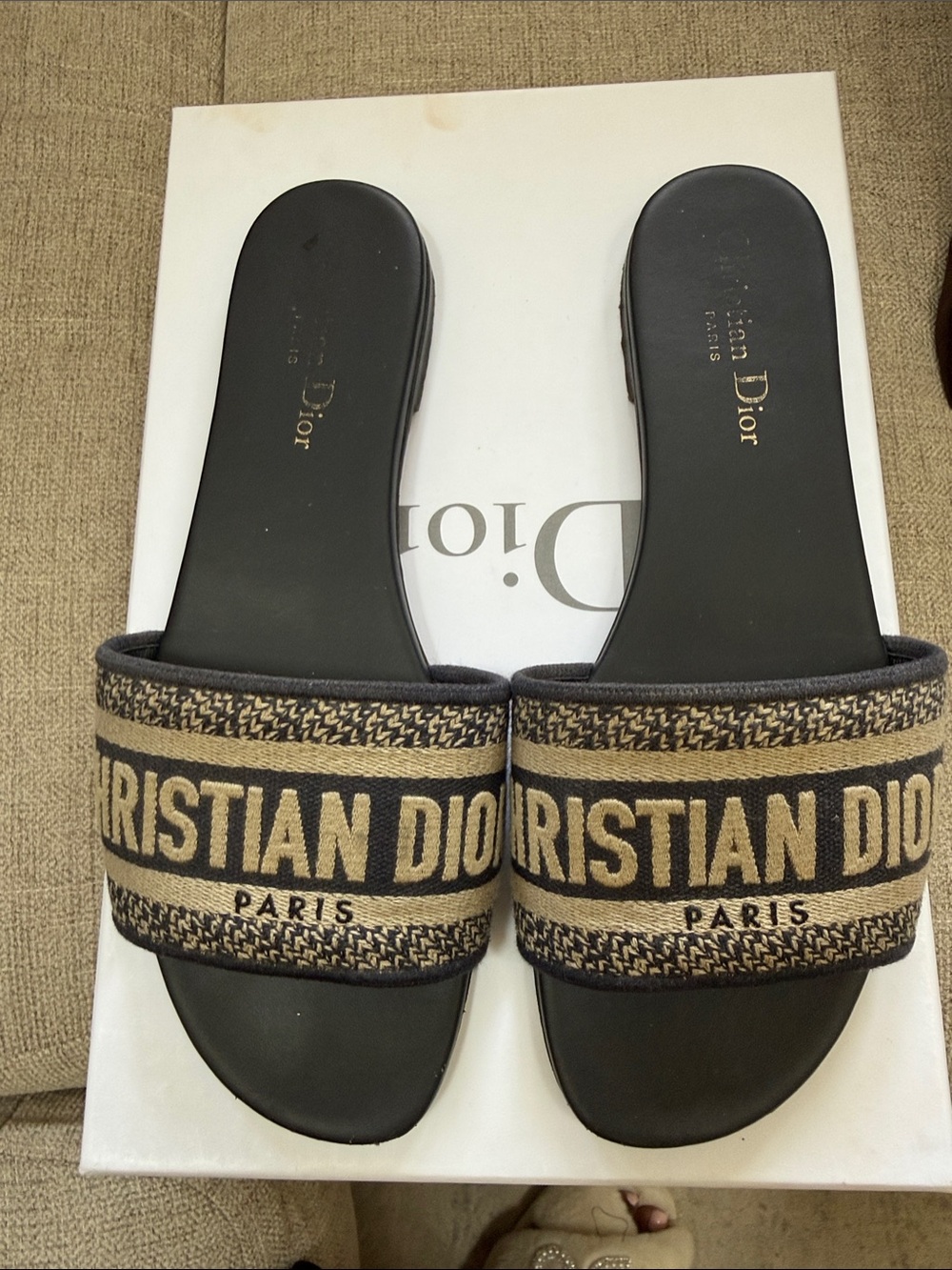 Dior slides